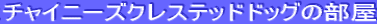 `Cj[YNXebhhbO̕
