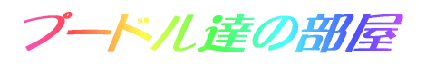 v[hB̕ 